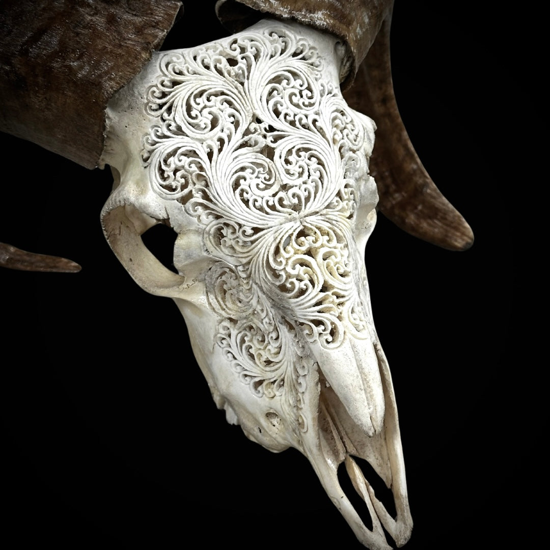 Carved Goat Skull