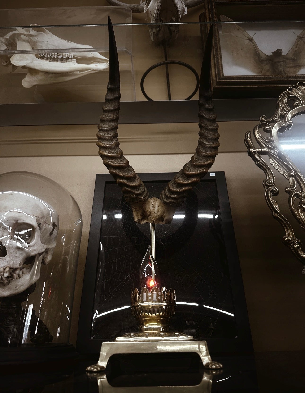 Gothic Horn Lamp