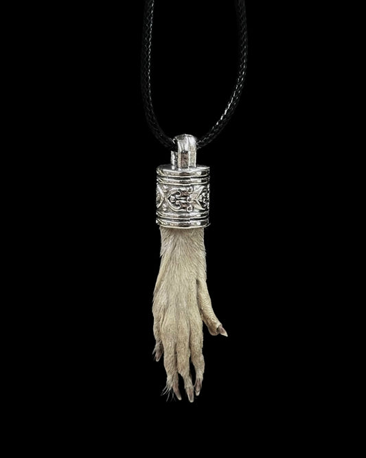 Mummified Rat Paw Necklace