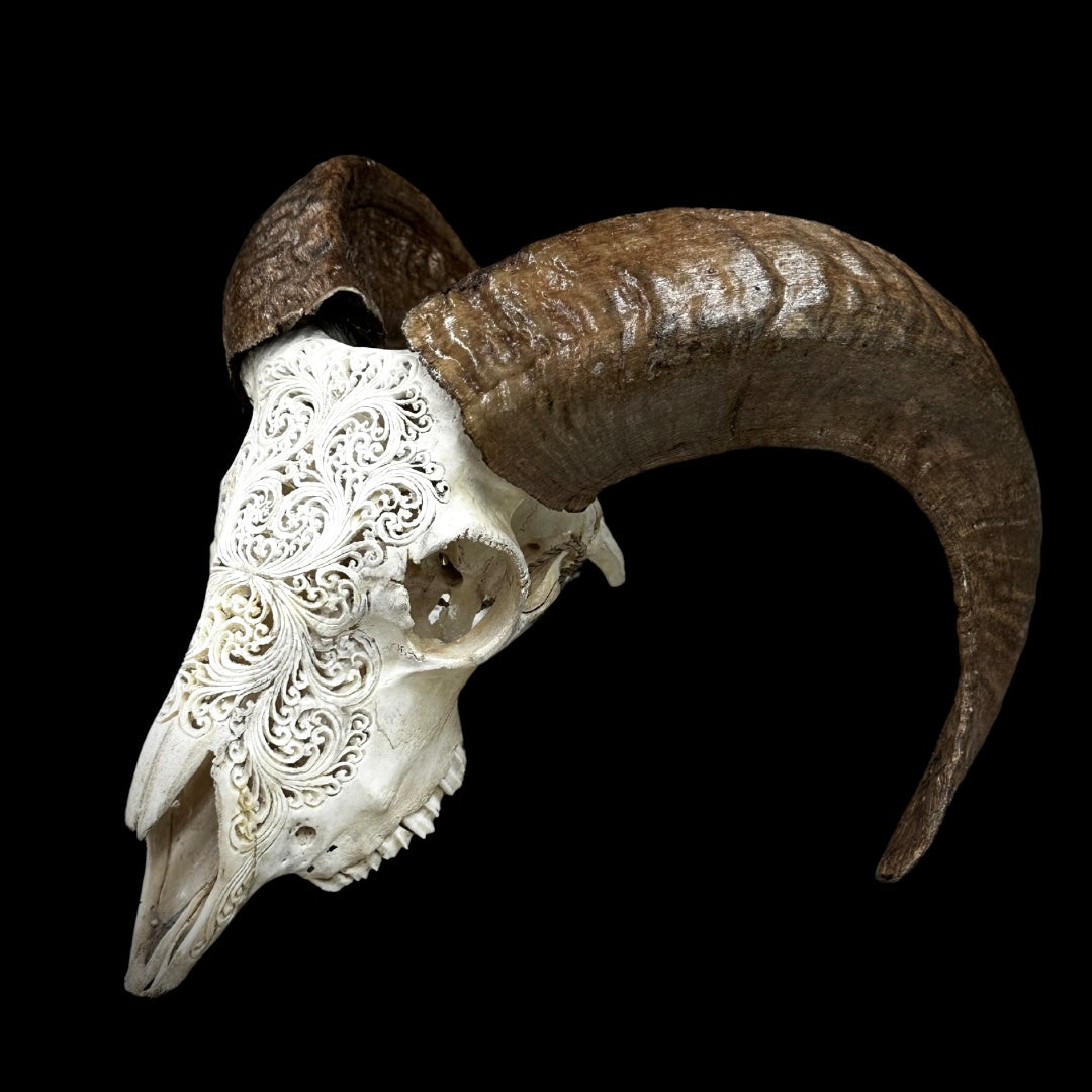 Carved Goat Skull