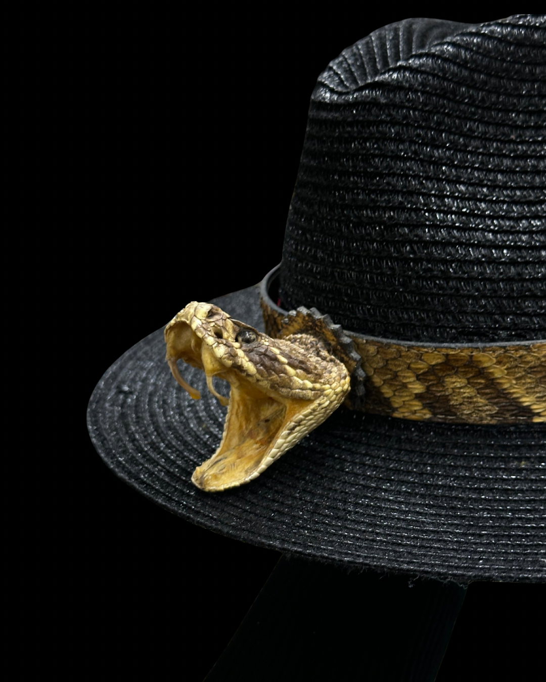 Rattlesnake Hatband