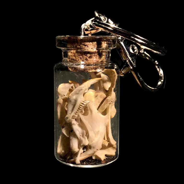 Jar of Bones Keychain