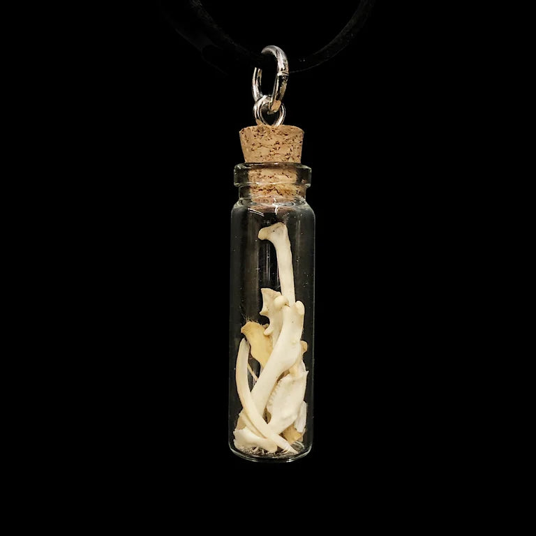 Jar of Bones Necklace