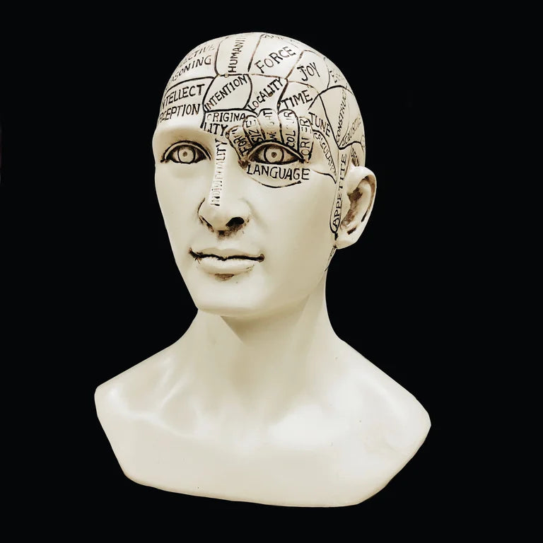Phrenology Head
