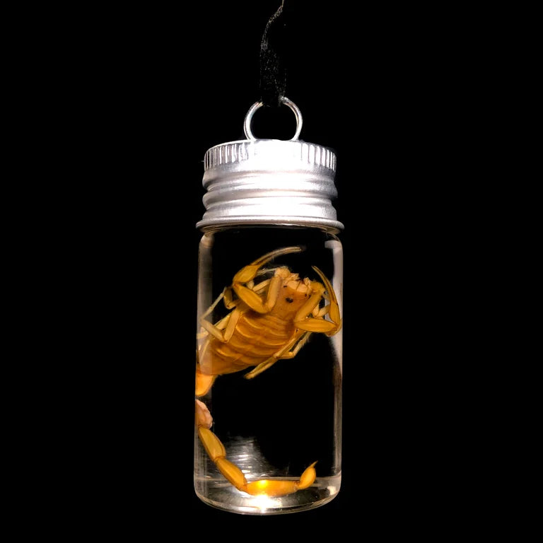 Scorpion Necklace