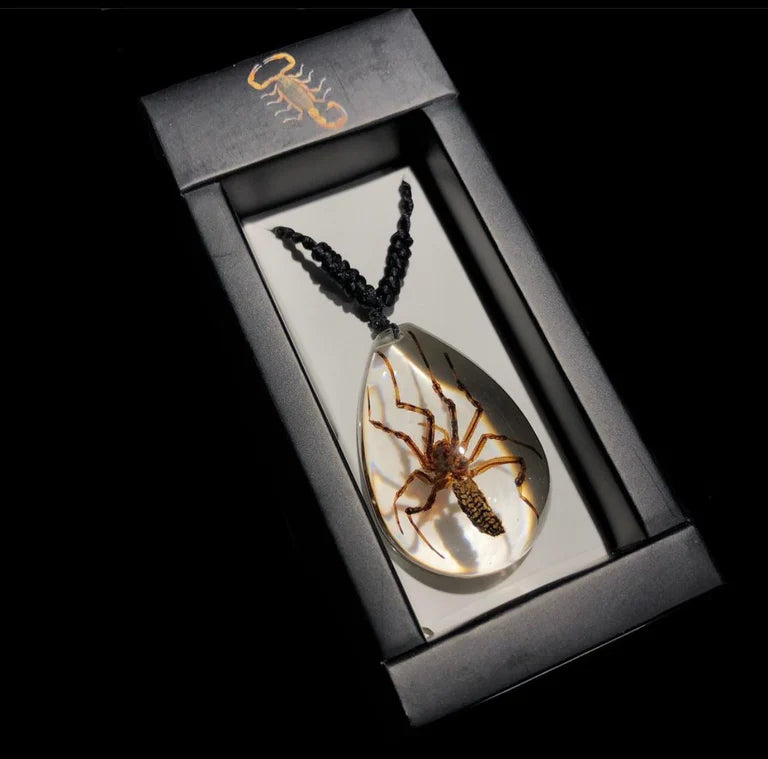 Spider Necklace