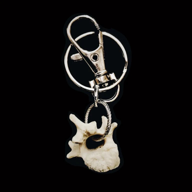 Vertebrae Keychain