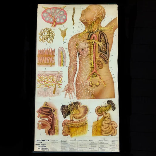 Vintage Medical Poster