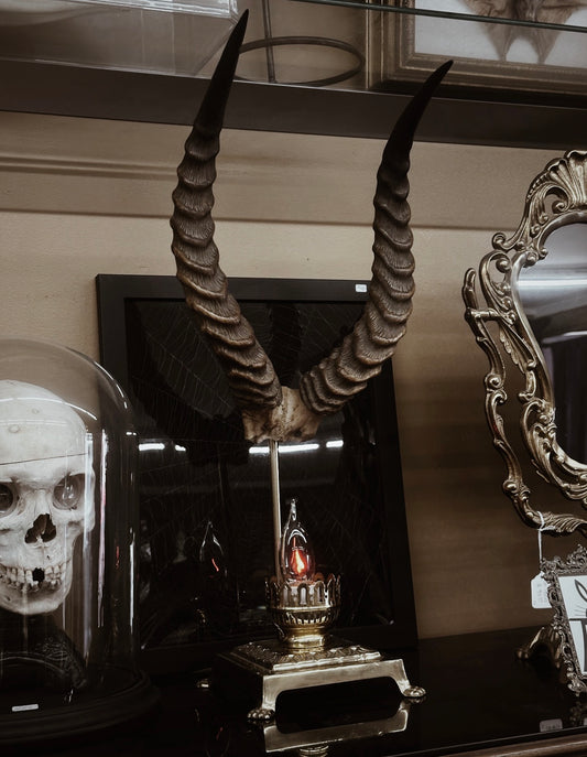 Gothic Horn Lamp
