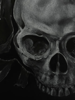 Eyes of the Beholder