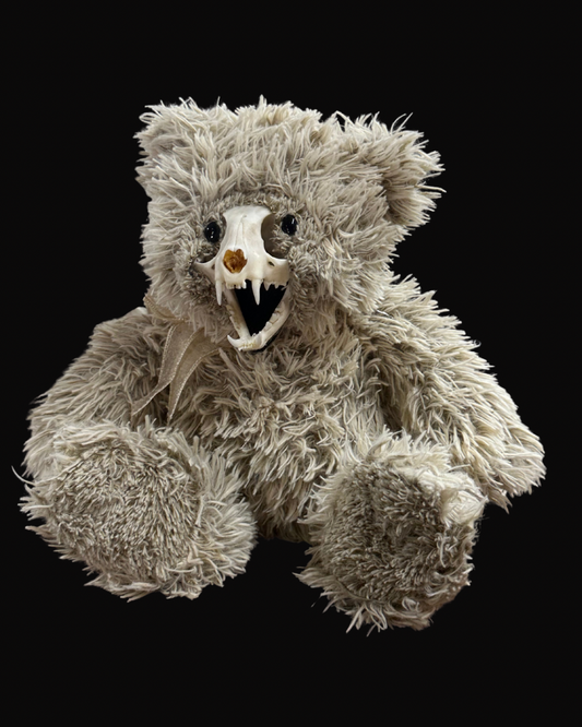 Skele-Teddy