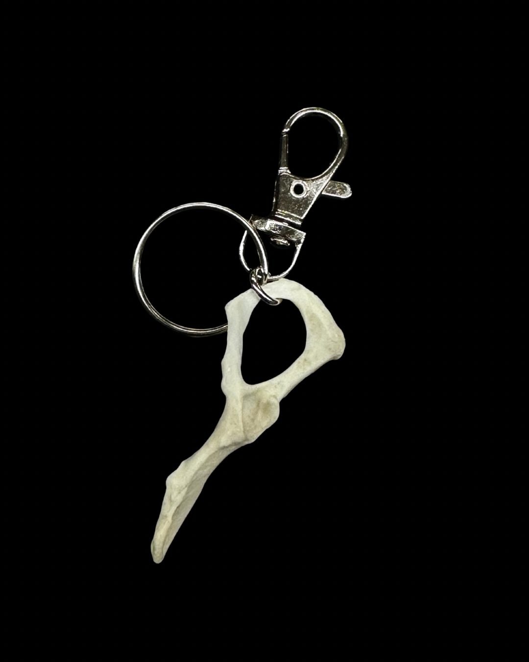 Vertebrae Keychain