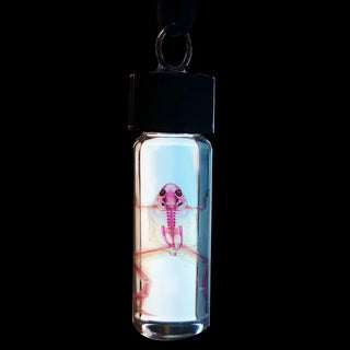 Diaphonized Frog Necklace
