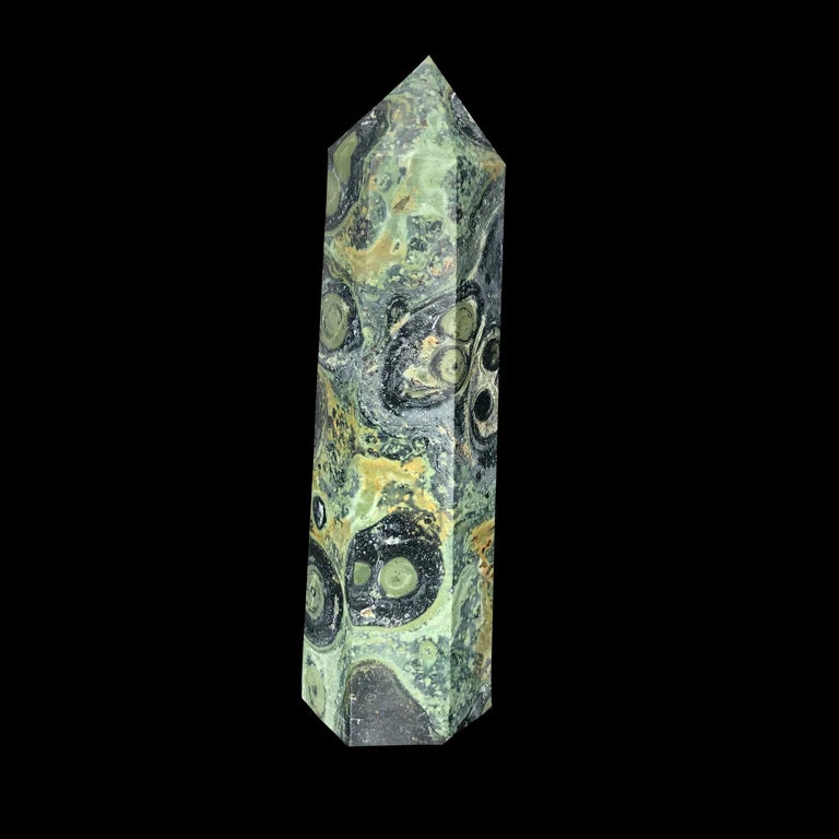 Kambaba Jasper