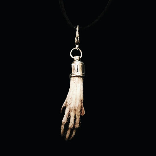 Mummified Rat Paw Necklace