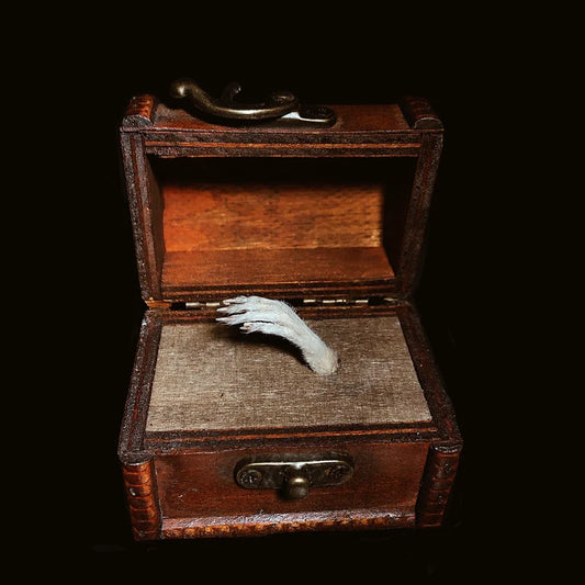 Rat Paw Treasure Chest