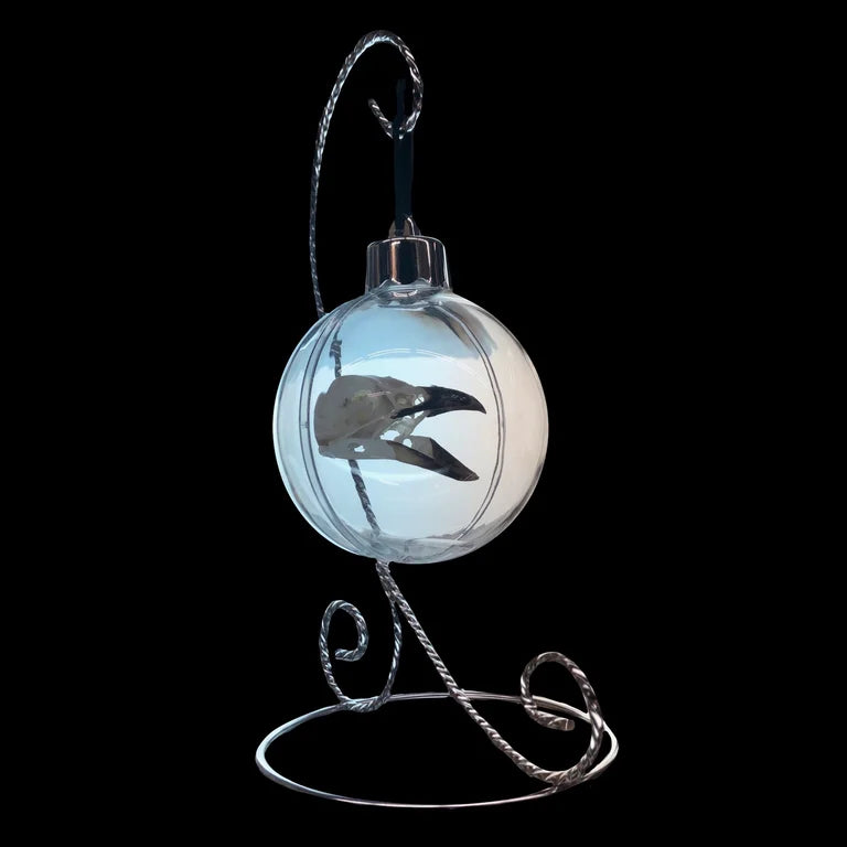 Bird Skull Ornament