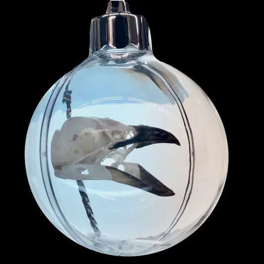 Bird Skull Ornament