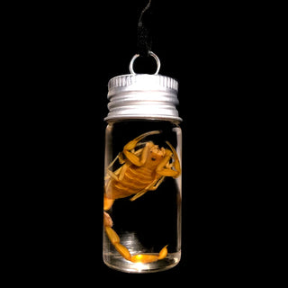 Scorpion Necklace